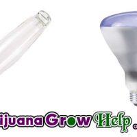 Get the Most out of your Hydroponics Light