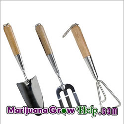 Harvesting tools for Marijuana