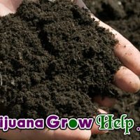 Soil pH: Why You Should Care