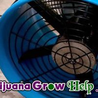 Cooling Your Grow