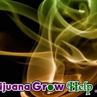 Marijuana Grow Myths