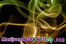 Marijuana Grow Myths